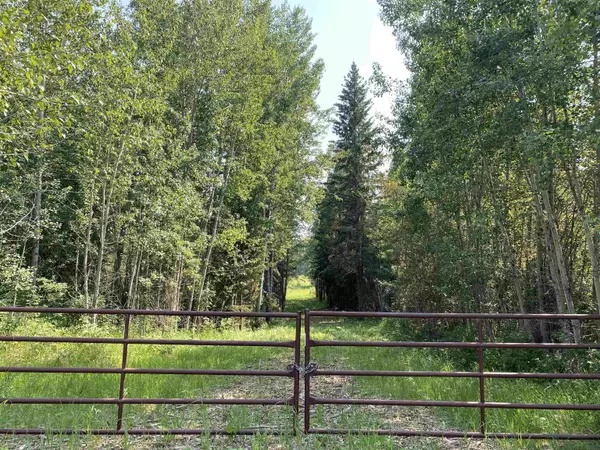 Rural Brazeau County, AB T0C 0P0,Twp Rd 490A