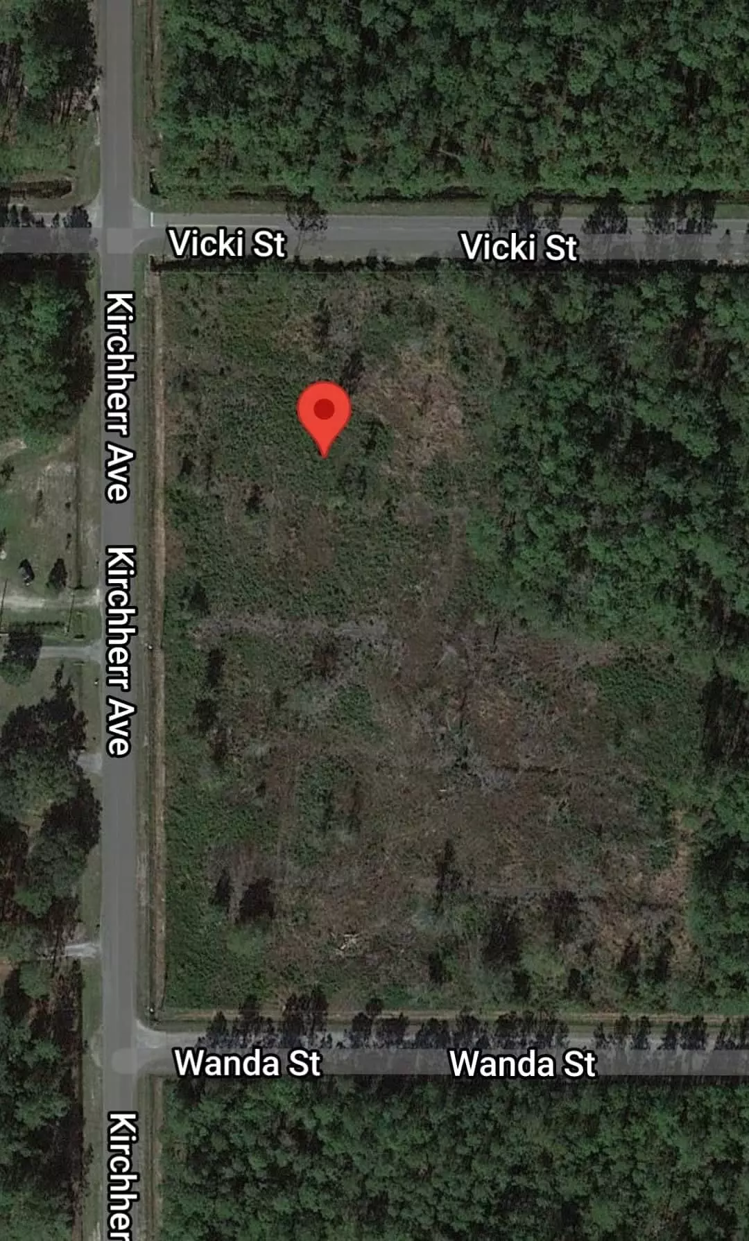 Hastings, FL 32145,4465 Vicki St