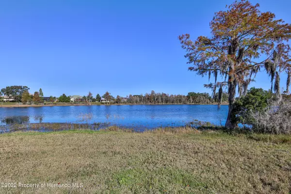 Weeki Wachee, FL 34613,9159 Trevino