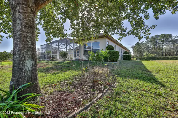 Weeki Wachee, FL 34613,9159 Trevino