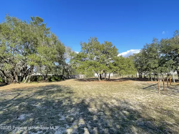 Weeki Wachee, FL 34614,13361 Lelani