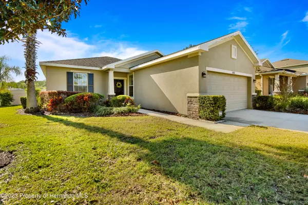 10702 Burning Bush, Land O Lakes, FL 34638