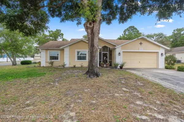 11393 Sagamore, Spring Hill, FL 34609