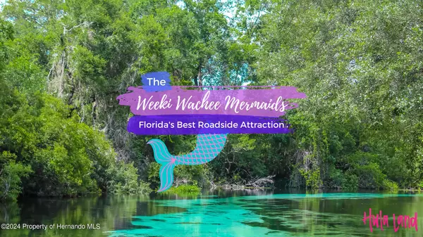 Weeki Wachee, FL 34614,17420 Malibar