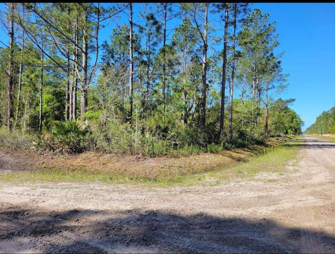 Hastings, FL 32145,5105 Jonathan