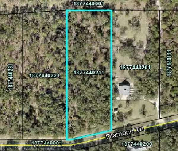 Hastings, FL 32145,355 Diamond Trail