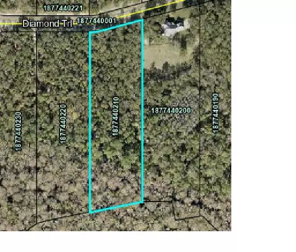 Hastings, FL 32145,355 Diamond Trail