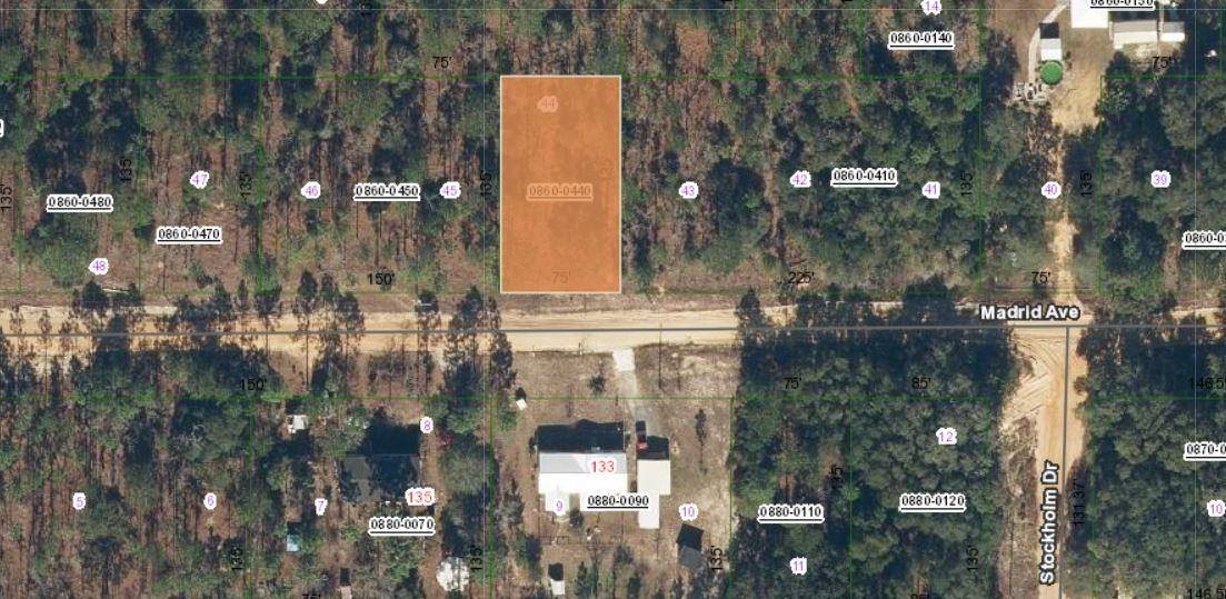 132 Madrid Ave, Interlachen, FL 32148