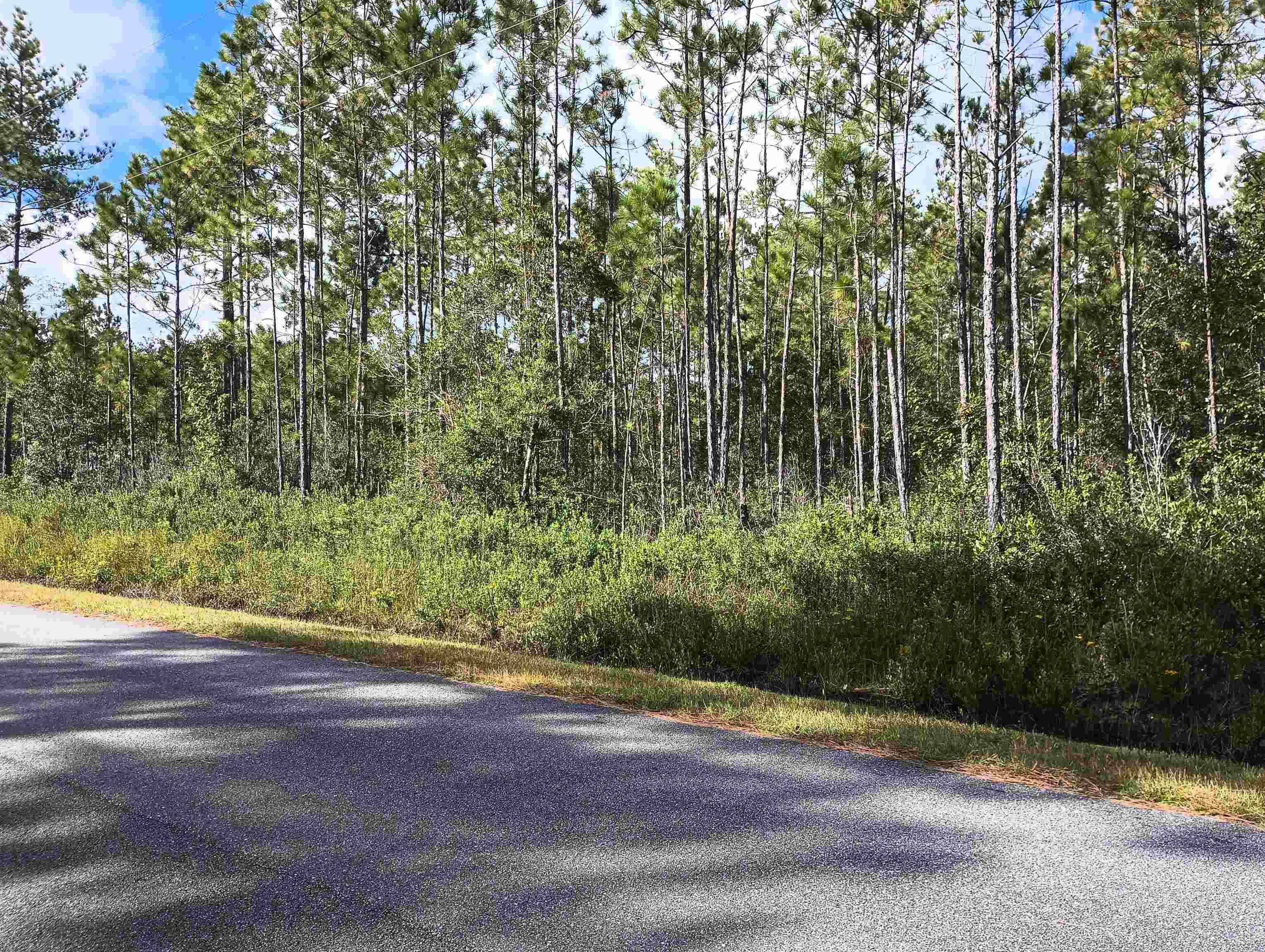 Hastings, FL 32145-0000,10535 Baylor Ave