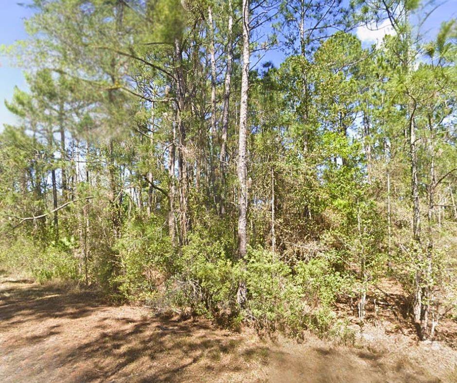 306 Carteret Rd, Georgetown, FL 32139