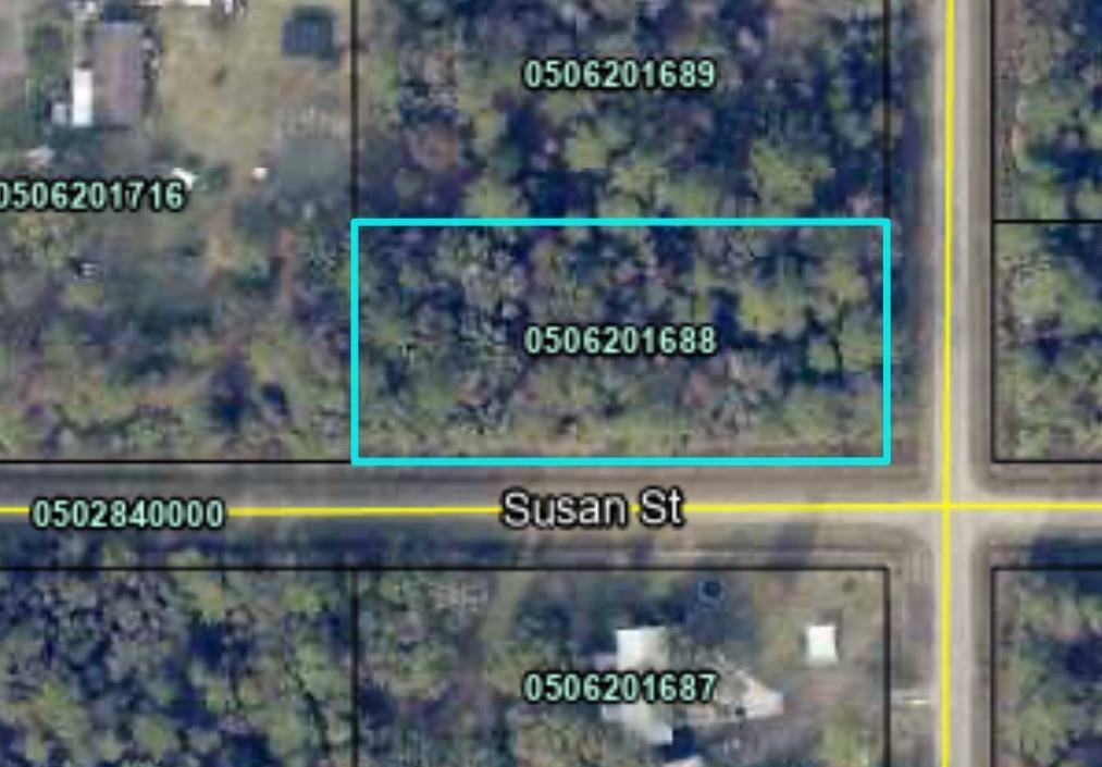 10175 Nikolich Ave, Hastings, FL 32145