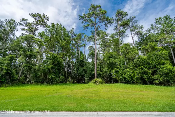 19593 Sterling Bluff Way, Brooksville, FL 34601