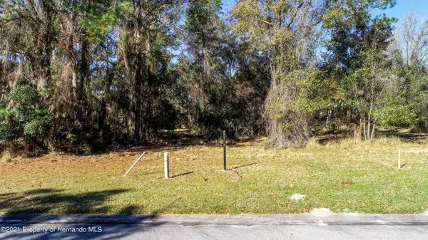 Brooksville, FL 34601,4624 Majestic Hills Loop