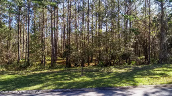 Brooksville, FL 34601,4816 Majestic Hills Loop