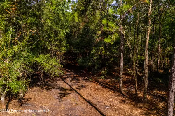 Brooksville, FL 34604,00 Phillips Road