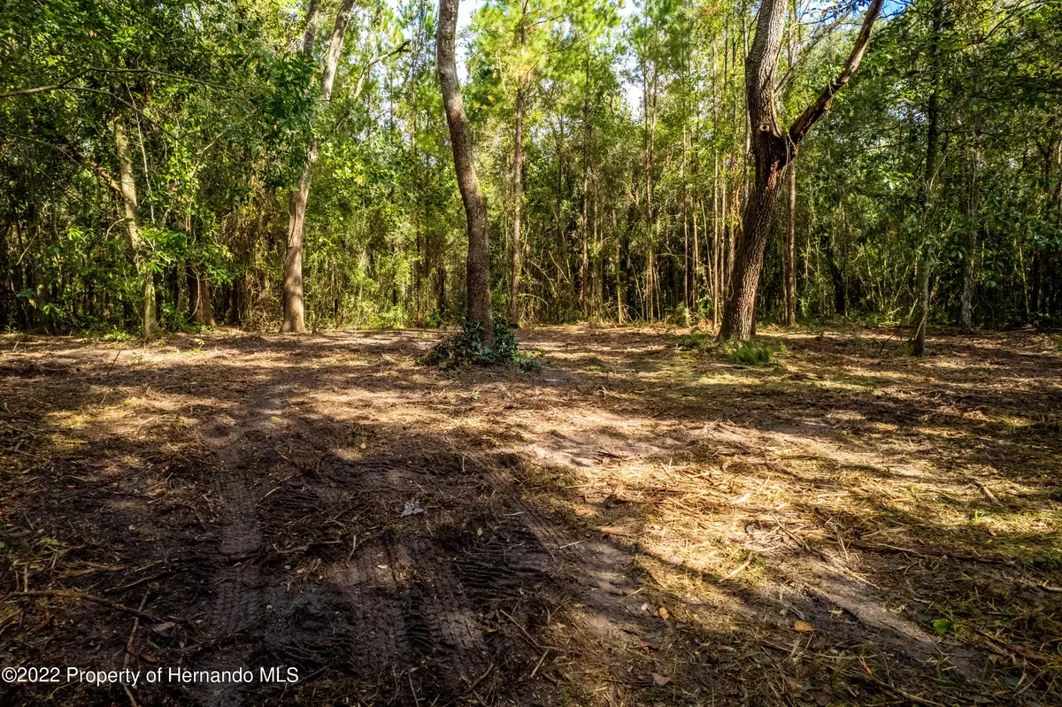 Brooksville, FL 34604,00 Phillips Road