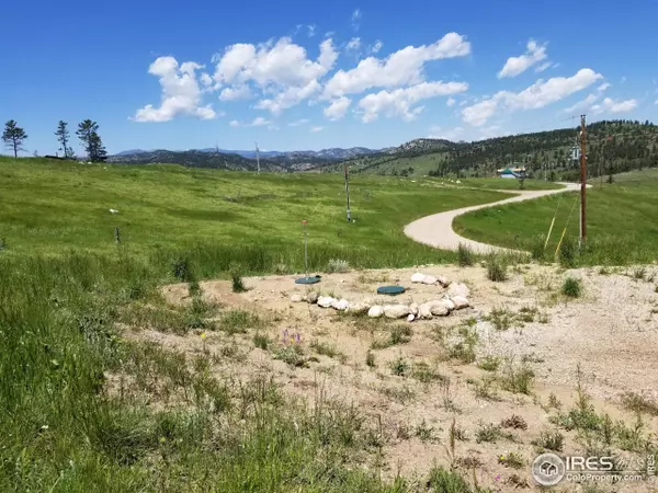 Livermore, CO 80536,247 Meadow Mountain Dr