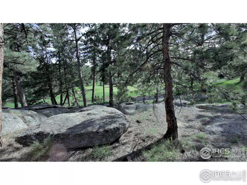 530 Fox Acres Dr W, Red Feather Lakes, CO 80545