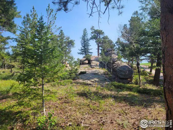 612 Fox Acres Dr W, Red Feather Lakes, CO 80545