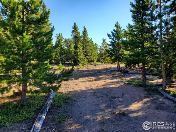 674 Manso Way, Red Feather Lakes, CO 80545