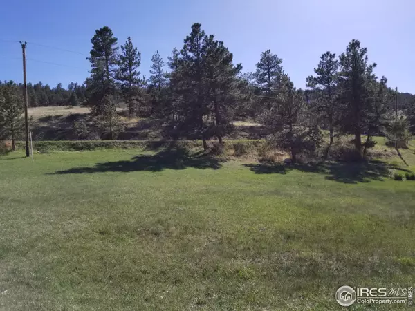 Livermore, CO 80536,152 Mount Everest Dr