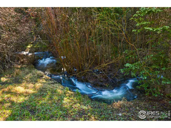 Black Hawk, CO 80422,188 Silver Creek Rd