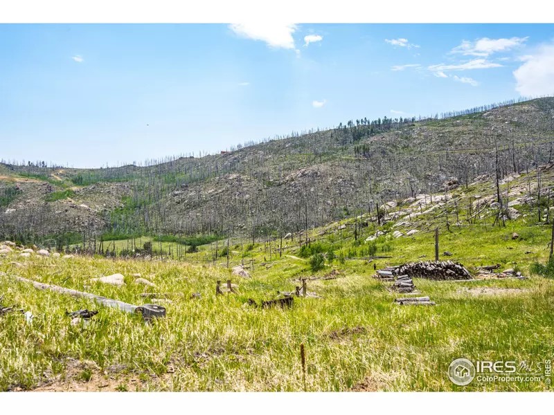 2384 Rist Creek Rd, Bellvue, CO 80512