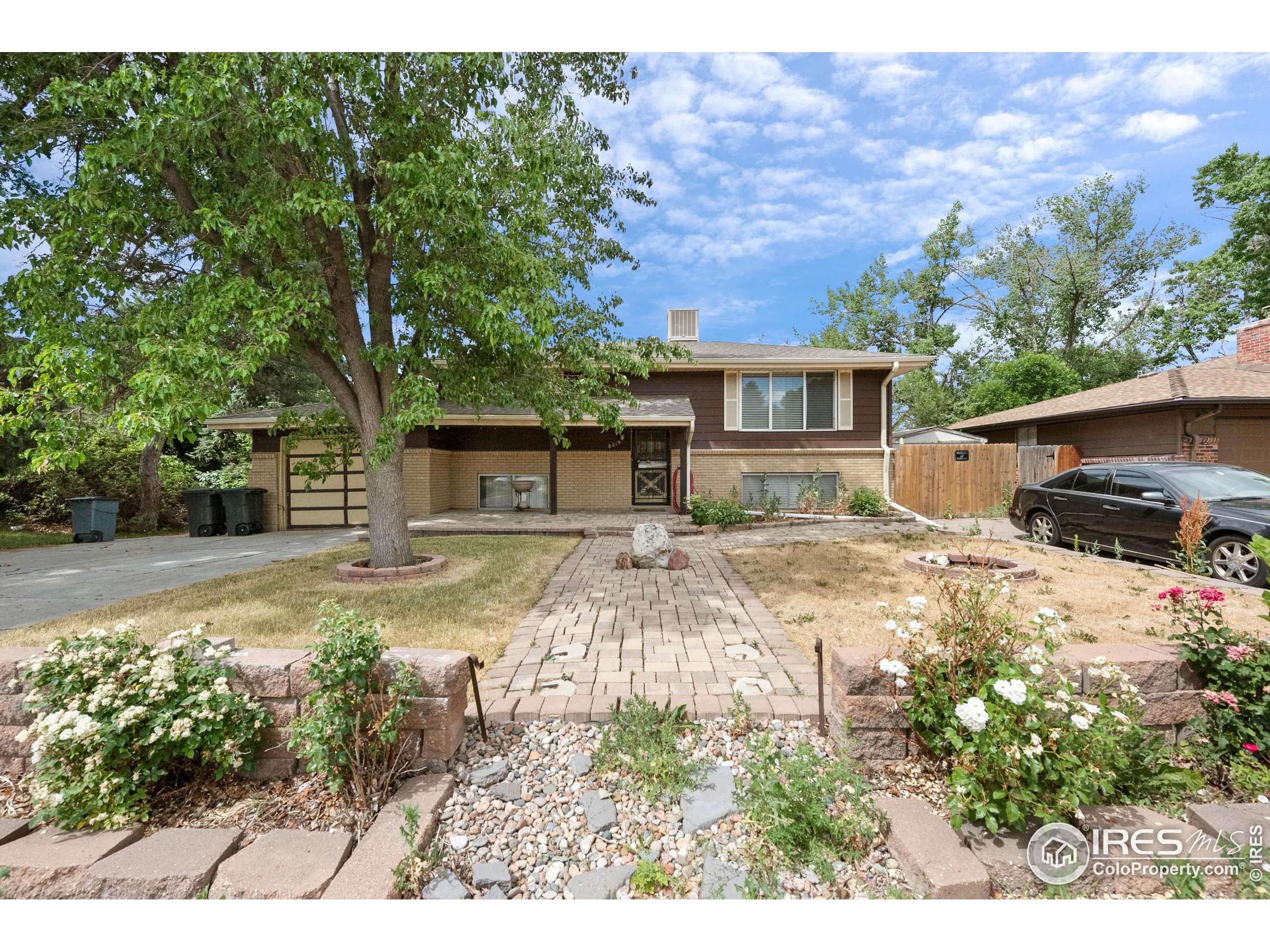 8219 Chase Dr, Arvada, CO 80003