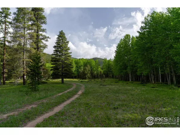 Rollinsville, CO 80474,4871 Tolland Rd