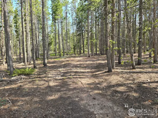 Red Feather Lakes, CO 80545,547 Ottawa Way