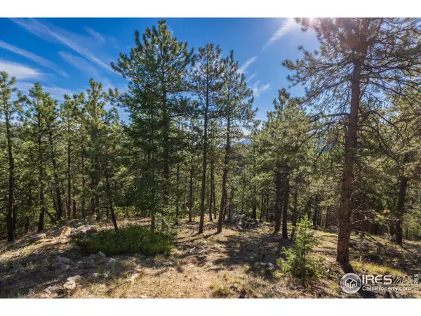Boulder, CO 80302,155 Millionaire Dr W