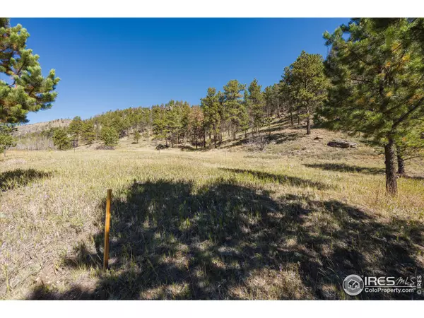 Glen Haven, CO 80532,TBD Dunraven Glade Rd