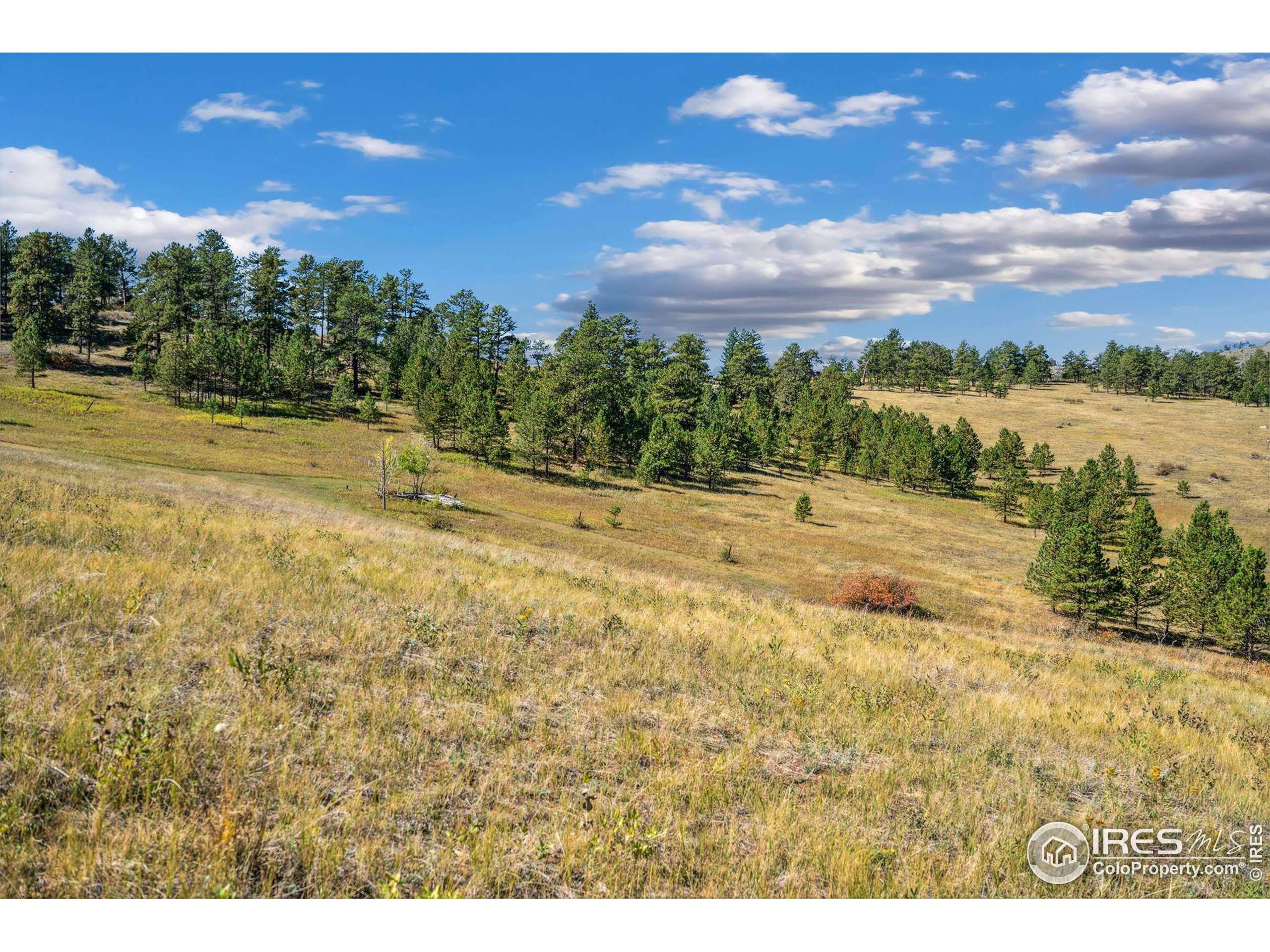 Drake, CO 80515,491 Snow Top Dr