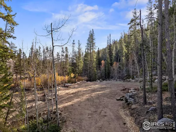 Red Feather Lakes, CO 80545,230 Biloxi Ct