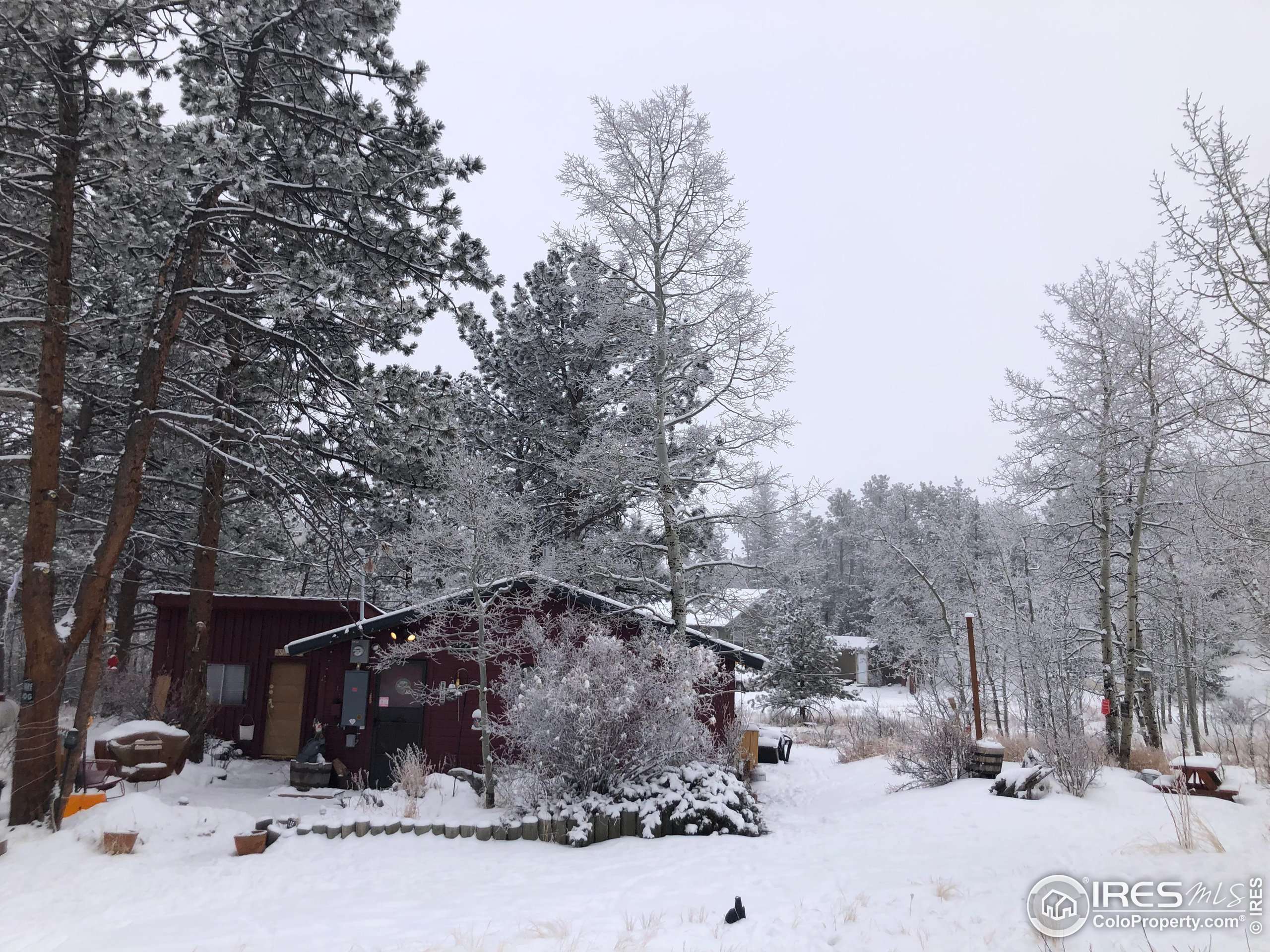 Red Feather Lakes, CO 80545,634 Pipsissewa Ln