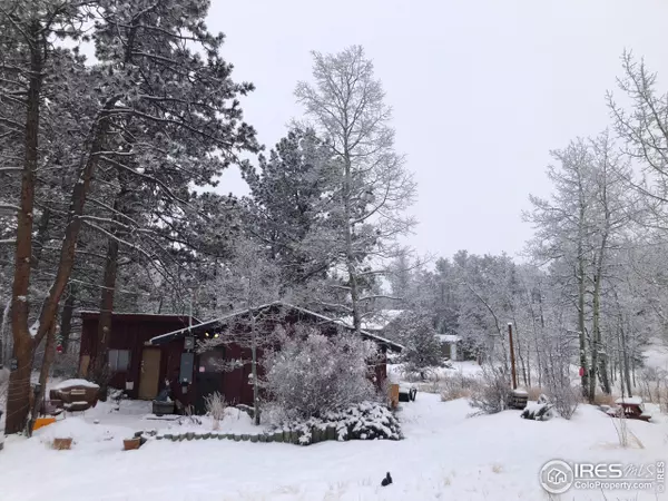 Red Feather Lakes, CO 80545,634 Pipsissewa Ln