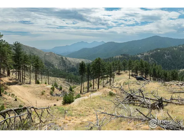 Boulder, CO 80302,6319 Sunshine Canyon Dr