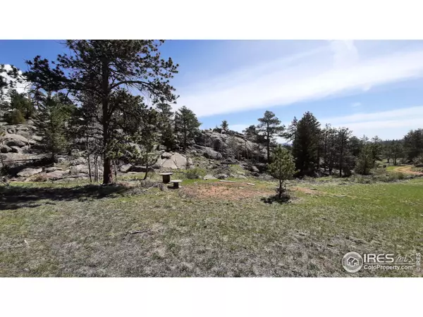 Livermore, CO 80536,102 Mount Princeton Ct