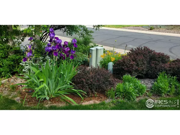 Louisville, CO 80027,538 W Spruce Way