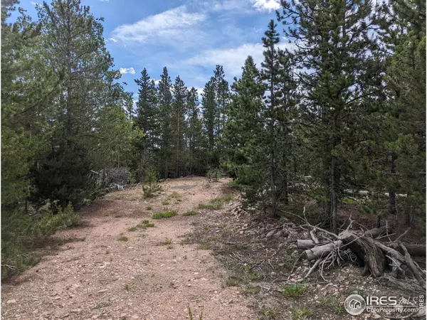 90 Quapaw Ct, Red Feather Lakes, CO 80545