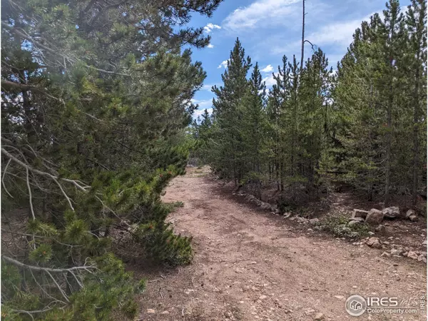 Red Feather Lakes, CO 80545,90 Quapaw Ct