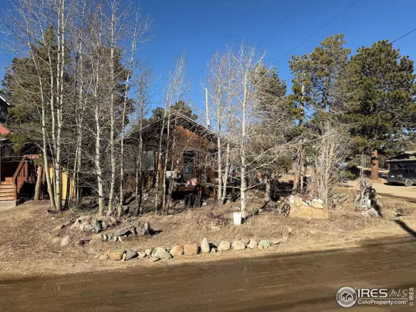 Nederland, CO 80466,209 W Breed St