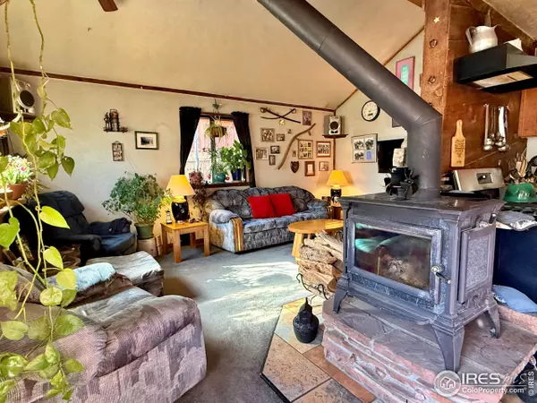 209 W Breed St, Nederland, CO 80466