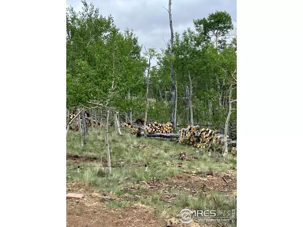 Jefferson, CO 80456,431 Mustang Trail