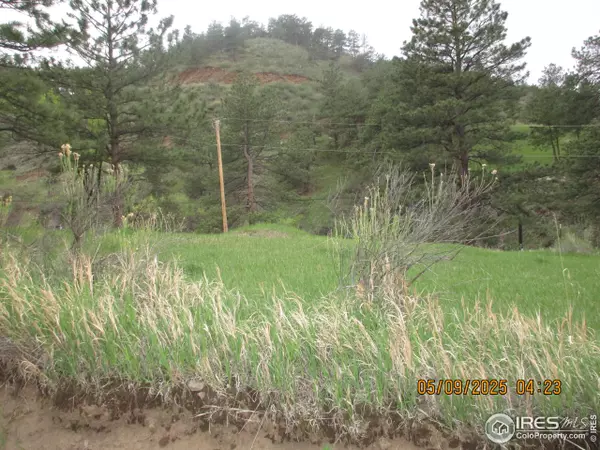 Loveland, CO 80537,TBD Bartram Park Rd