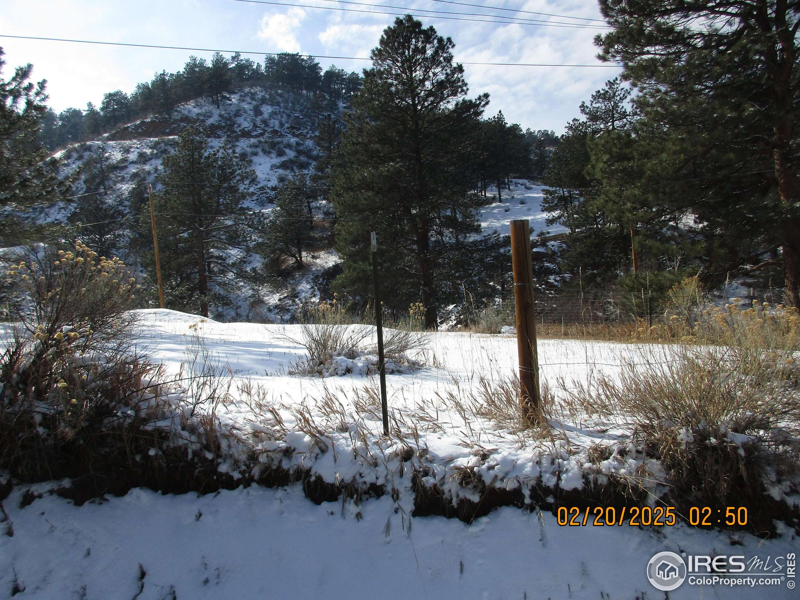 Loveland, CO 80537,TBD Bartram Park Rd