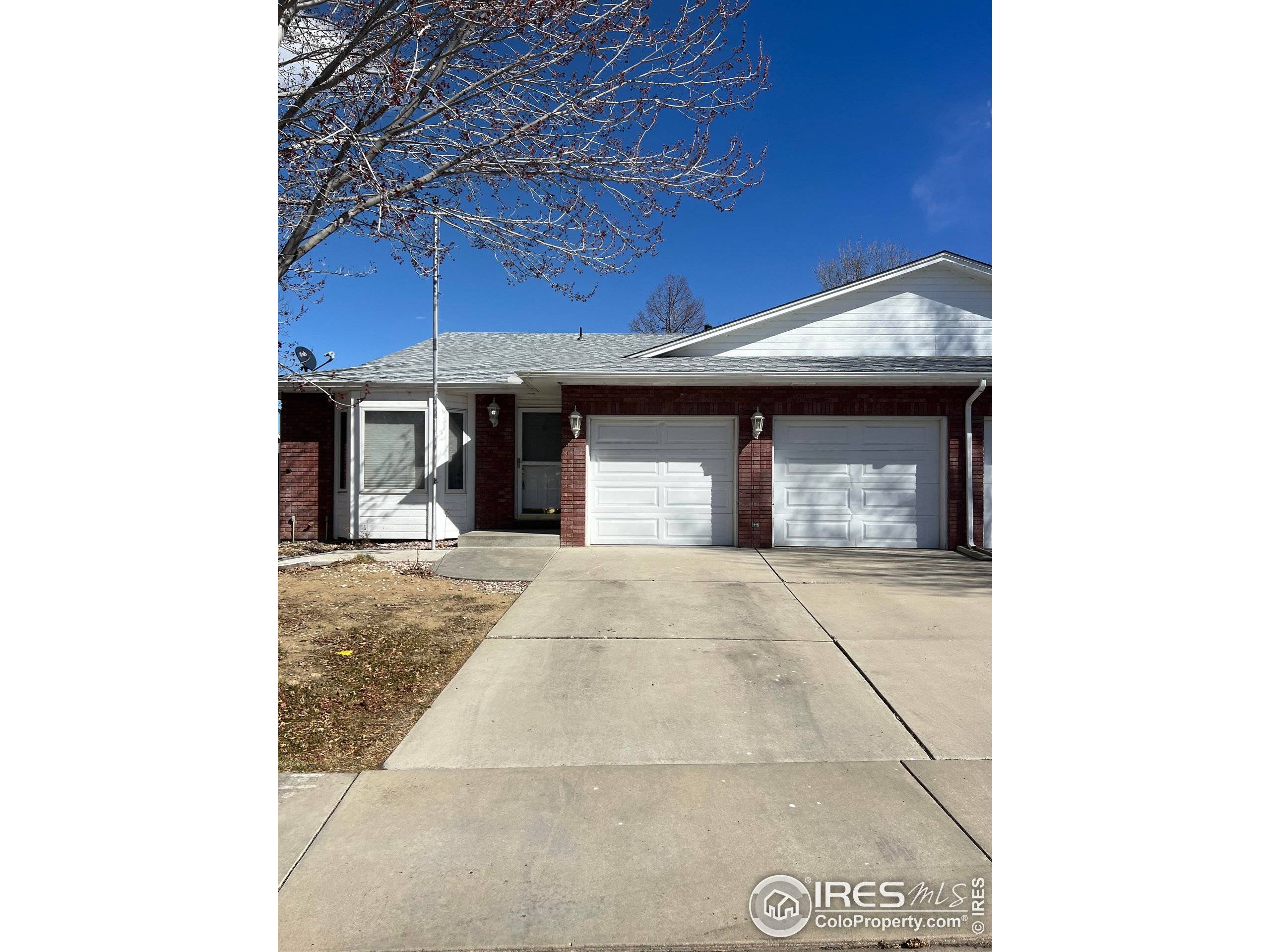 Loveland, CO 80537,1126 Patricia Dr