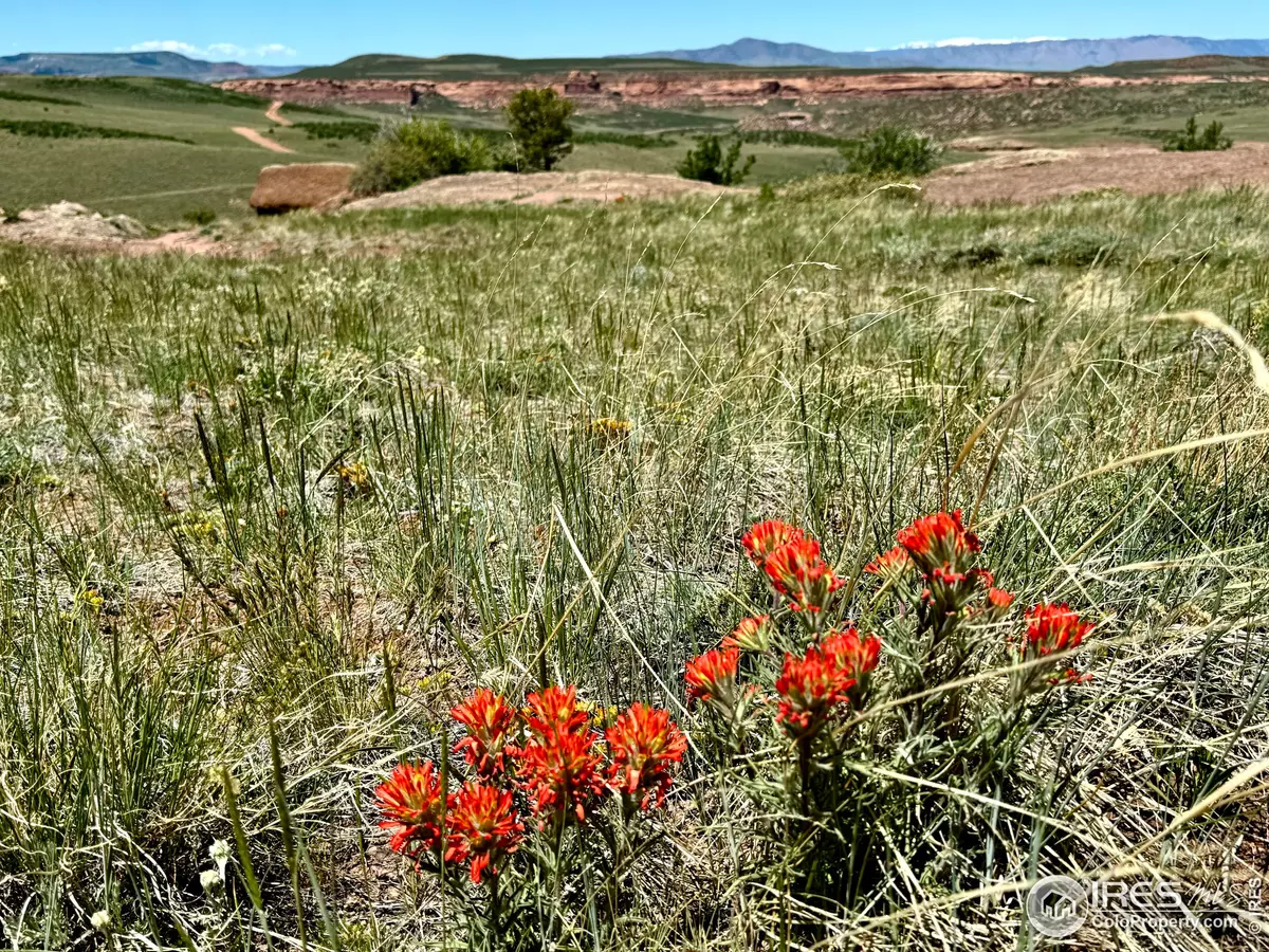 Red Feather Lakes, CO 80545,500 Bridge Rd
