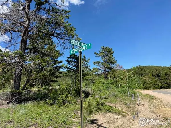 Golden, CO 80403,1118 Copperdale Ln