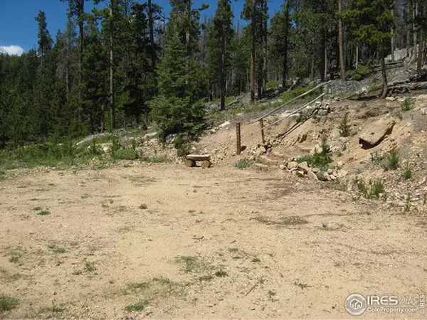 Red Feather Lakes, CO 80545,1244 Mosquito Dr